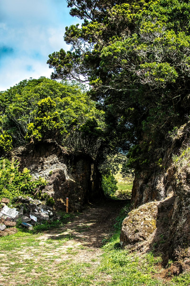 Wanderweg auf Sao Miguel