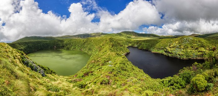 iStock-515167663.jpg