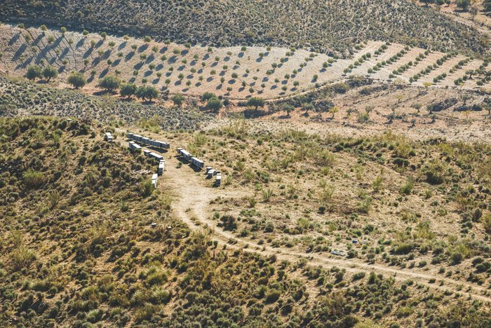 Bienenstock-Andalusien-iStock-1359996033.jpg