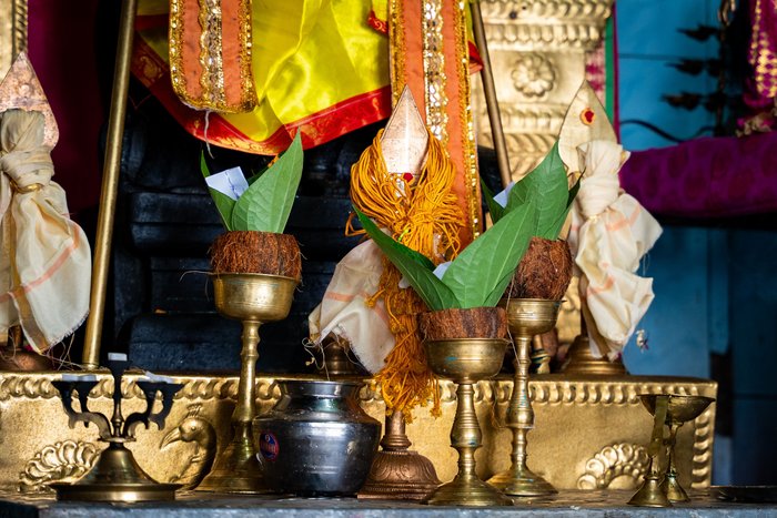 pexels-thilina-alagiyawanna-3266092-36873238.jpg