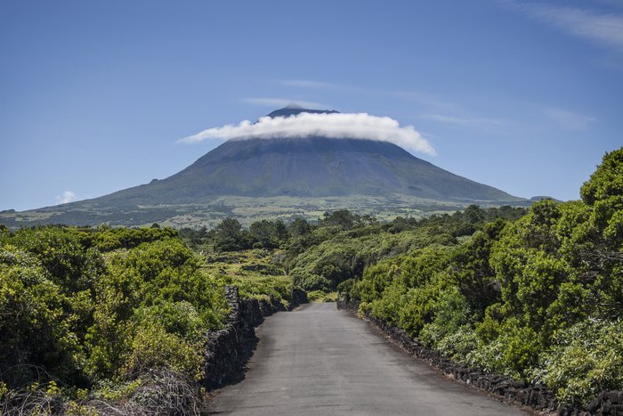 pico-dreamstime_l_32091521.jpg
