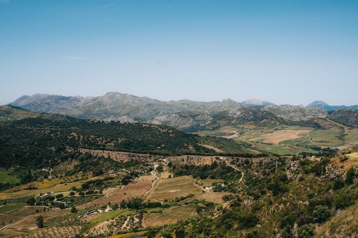 Ronda-pexels-liisbet-luup-121486327-33005621.jpg
