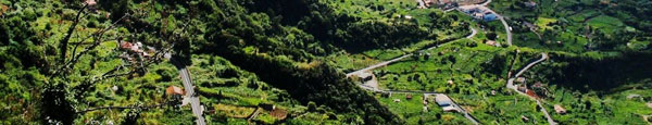 Madeiras grüne Landschaft